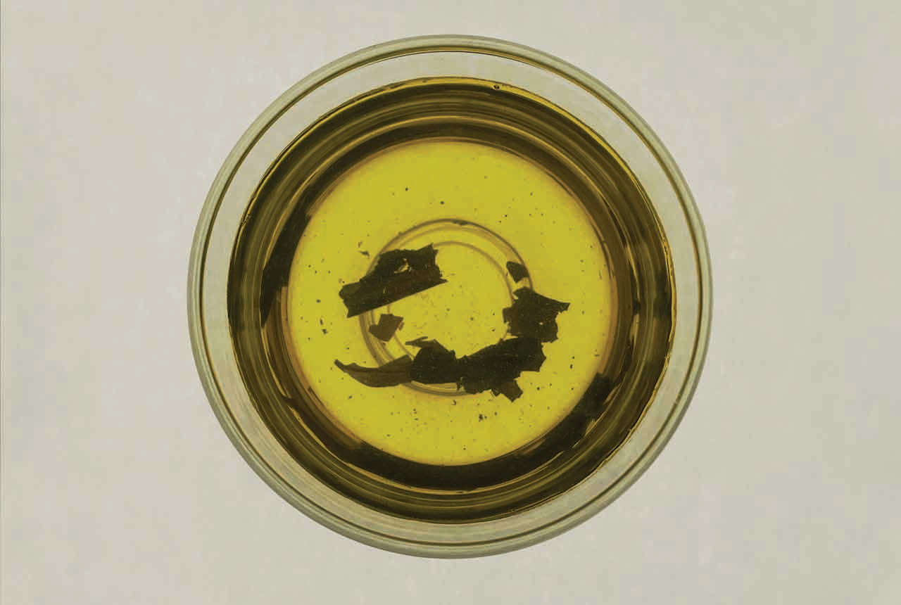 Green Mate: An unexpected tea note in JOGA