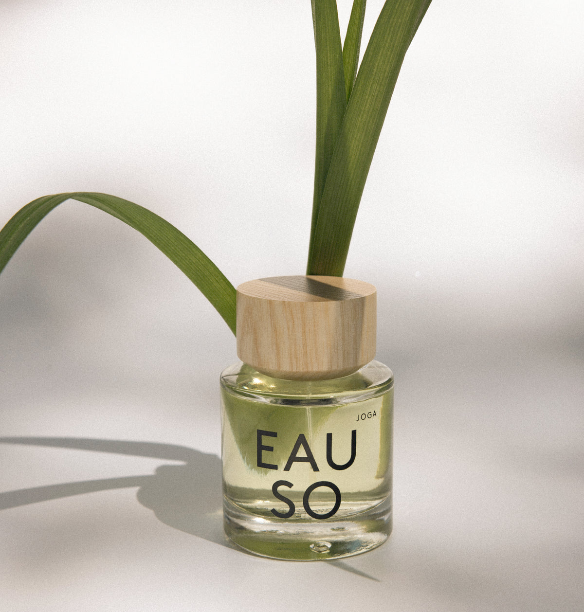 Joga Eau de Parfum 50ml with green leaves, EAUSO VERT